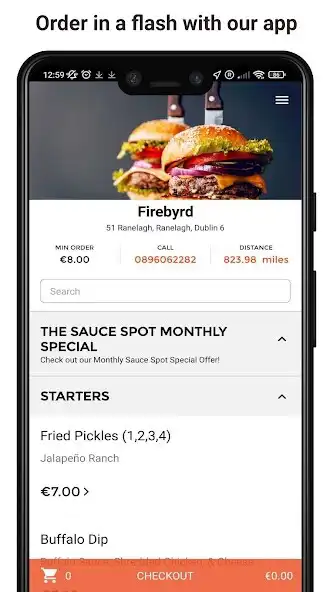 Play Firebyrd as an online game Firebyrd with UptoPlay