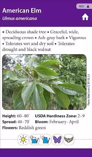 Play Fire-resistant Plants
