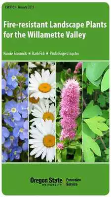 Play Fire-resistant Plants
