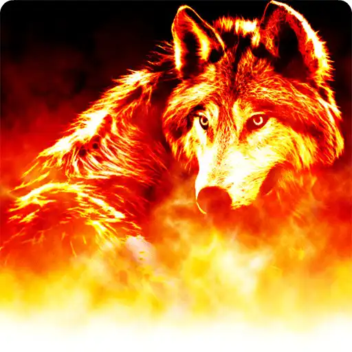 Play Fire wolf live wallpaper APK Play Fire wolf live wallpaper APK