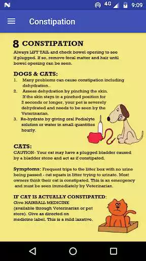 Play First Aide For Pets as an online game First Aide For Pets with UptoPlay