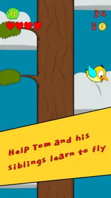 Play First Flight Play First Flight