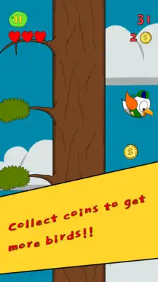 Play First Flight Play First Flight