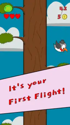 Play First Flight Play First Flight