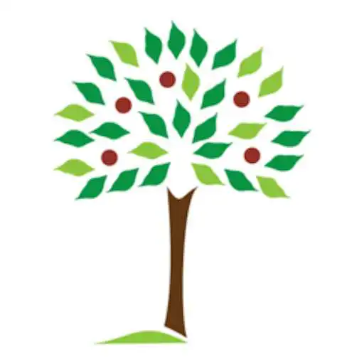 Play First Fruits Community Church APK