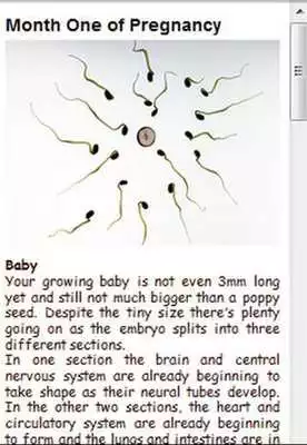 Play First Pregnancy trimester