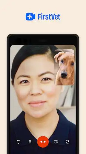 Play FirstVet  and enjoy FirstVet with UptoPlay