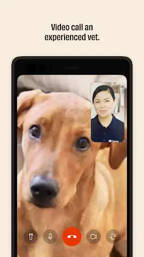 Play FirstVet as an online game FirstVet with UptoPlay