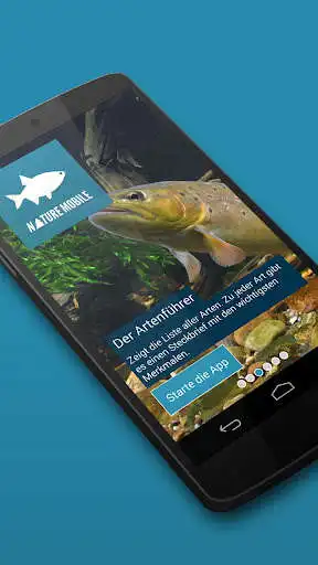 Play Fish 2 LITE - Field Guide  and enjoy Fish 2 LITE - Field Guide with UptoPlay