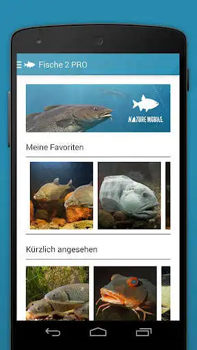 Play Fish 2 LITE - Field Guide as an online game Fish 2 LITE - Field Guide with UptoPlay