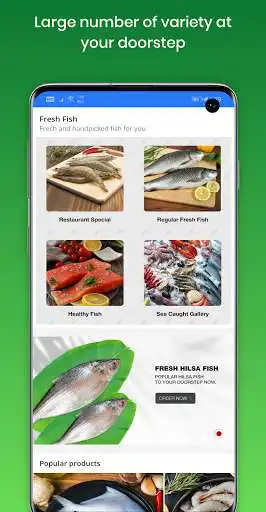 Play Fish and Shrimp - Online fish market as an online game Fish and Shrimp - Online fish market with UptoPlay