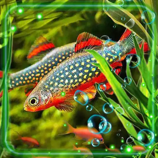 Free play online Fish Aquarium Live Wallpaper APK