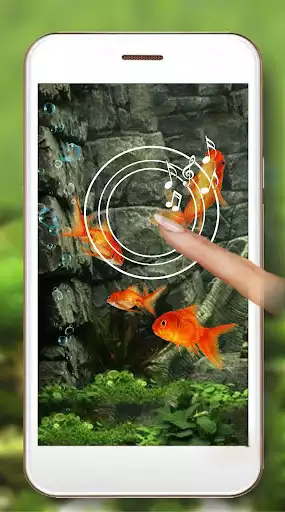 Play Fish Aquarium Live Wallpaper