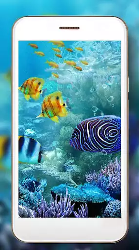 Play Fish Aquarium Live Wallpaper