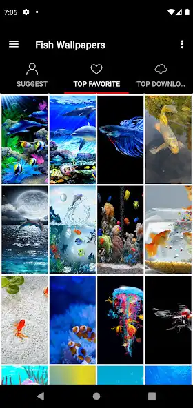 Play Fish Betta Koi Wallpapers as an online game Fish Betta Koi Wallpapers with UptoPlay