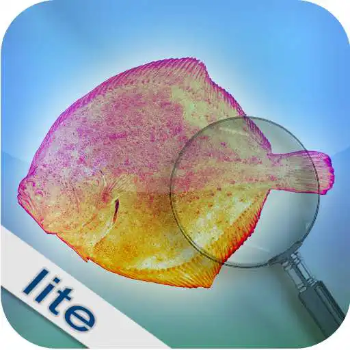 Play Fishbook Lite APK