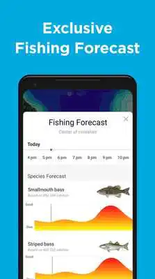 Play Fishbrain