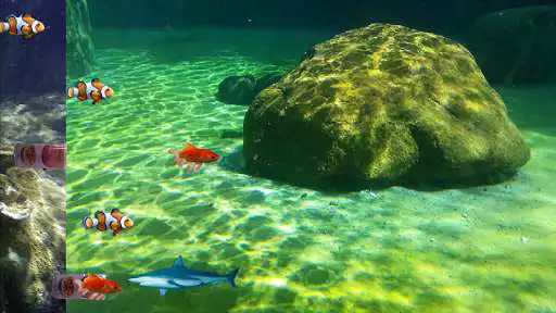 Play Fish Eat Fish Play Fish Eat Fish