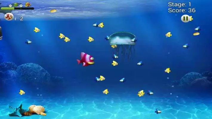 Play Fish Eat Fish Play Fish Eat Fish