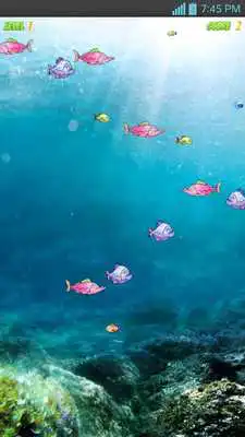 Play Fish eating Fishes