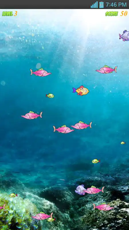 Play Fish eating Fishes