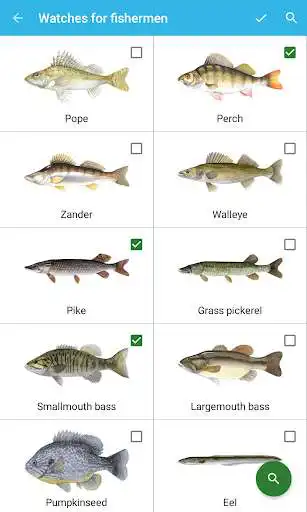 Play Fisherman Watch