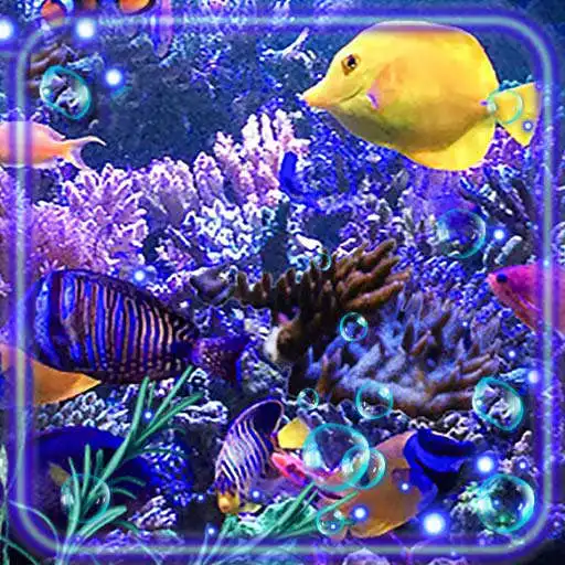 Free play online Fishes Aquarium APK
