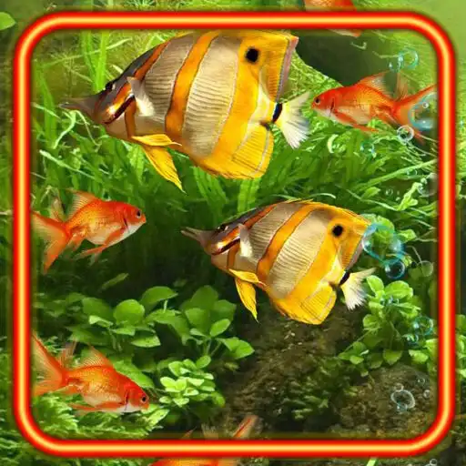 Play Fishes Aquarium APK Play Fishes Aquarium APK