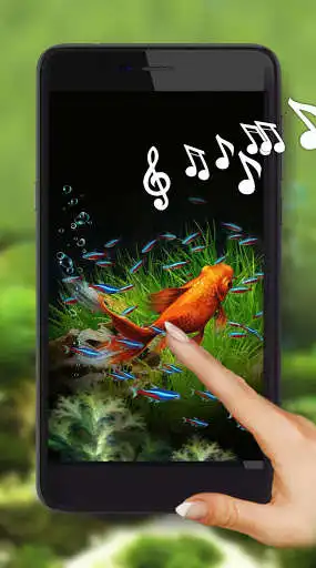 Play Fishes Aquarium  and enjoy Fishes Aquarium with UptoPlay