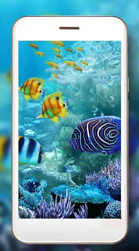 Play Fishes Aquarium as an online game Fishes Aquarium with UptoPlay