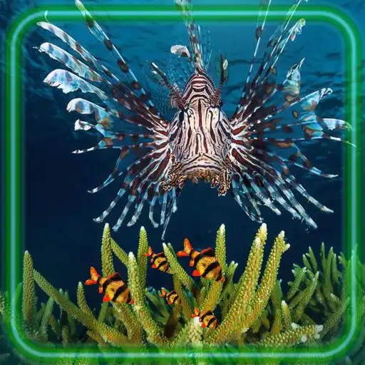 Play Fishes Oceanic World APK Play Fishes Oceanic World APK