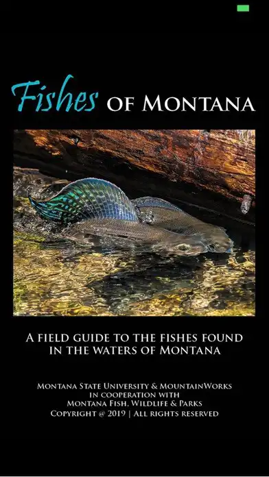 Play Fishes of Montana  and enjoy Fishes of Montana with UptoPlay