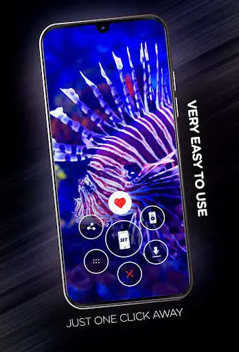 Play Fishes Wallpapers in 4K as an online game Fishes Wallpapers in 4K with UptoPlay