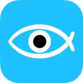 Free play online Fisheye Camera APK