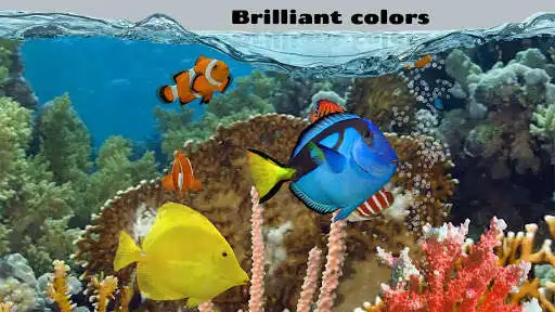 Play Fish Farm 2 and enjoy Fish Farm 2 with UptoPlay Play Fish Farm 2 and enjoy Fish Farm 2 with UptoPlay