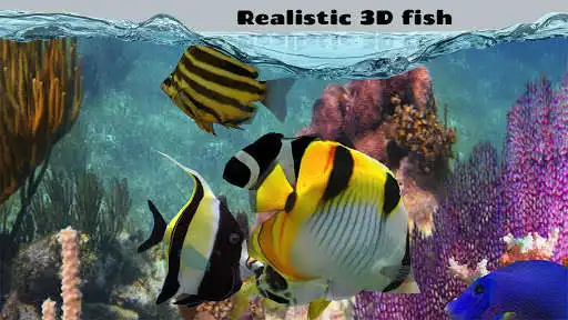 Play Fish Farm 2 as an online game online Fish Farm 2 with UptoPlay com.raixgames.android.fishfarm2.googleplay Play Fish Farm 2 as an online game Fish Farm 2 with UptoPlay
