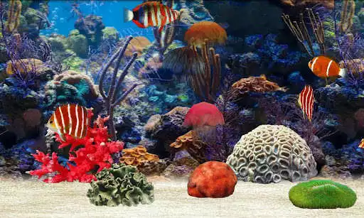 Play Fish Farm and enjoy Fish Farm with UptoPlay Play Fish Farm and enjoy Fish Farm with UptoPlay