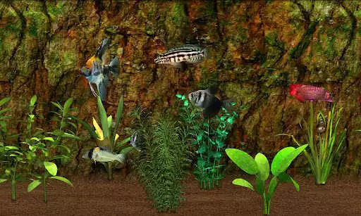 Play Fish Farm as an online game online Fish Farm with UptoPlay com.raixgames.android.fishfarm Play Fish Farm as an online game Fish Farm with UptoPlay