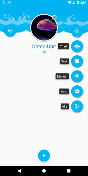 Play Fish Feeder as an online game Fish Feeder with UptoPlay