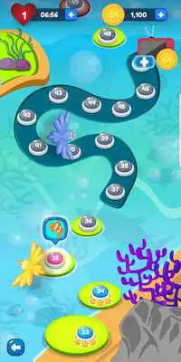 Play Fish Fish Match Game