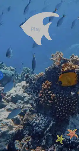 Play Fish Fish  and enjoy Fish Fish with UptoPlay