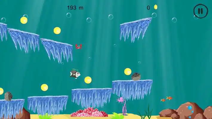 Play Fish Free