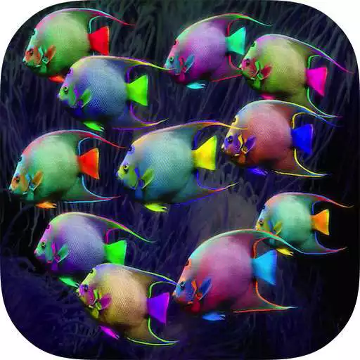 Play Fish HD Wallpaper APK Play Fish HD Wallpaper APK