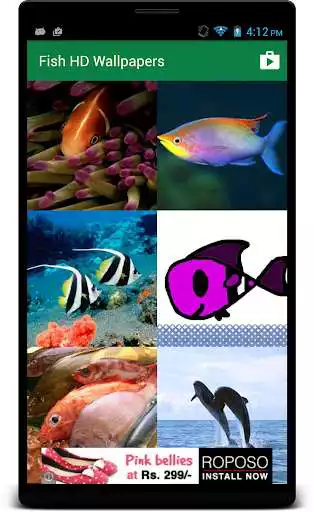 Play Fish HD Wallpaper as an online game Fish HD Wallpaper with UptoPlay
