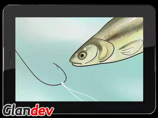 Play Fish Hook