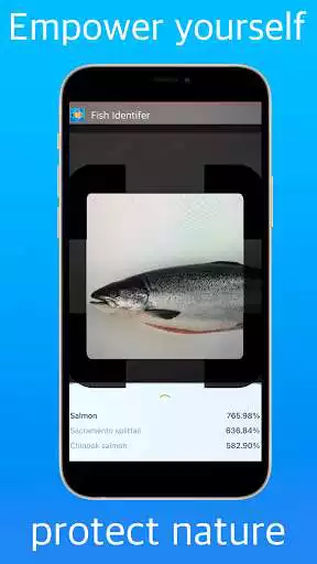 Play Fish identifier  and enjoy Fish identifier with UptoPlay