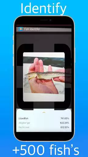 Play Fish identifier as an online game Fish identifier with UptoPlay