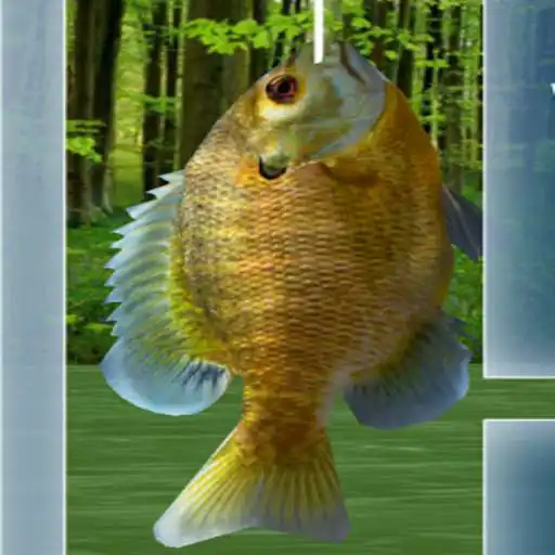 Play fishing 3d! APK Play fishing 3d! APK