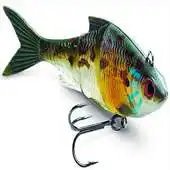 Free play online Fishing Bait APK Free play online Fishing Bait APK