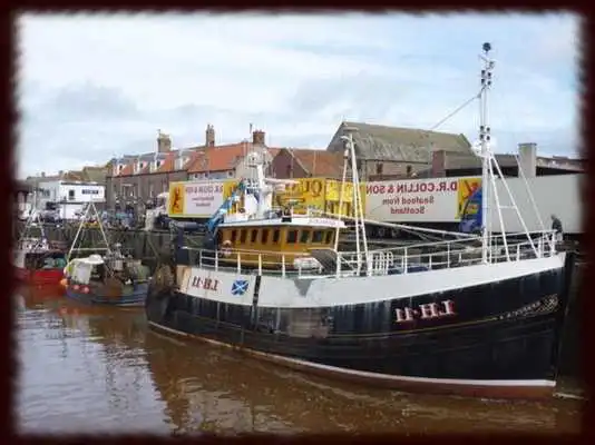 Play Fishing Boats Wallpapers